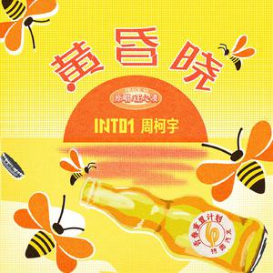 12岁女生穿口球脚铐脚锁进笼子
