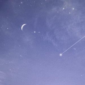 12岁女生穿口球脚铐脚锁进笼子
