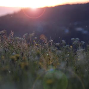 12岁女生穿口球脚铐脚锁进笼子
