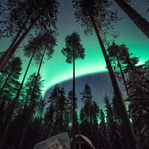 12岁女生穿口球脚铐脚锁进笼子
