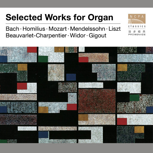 12岁女生穿口球脚铐脚锁进笼子
